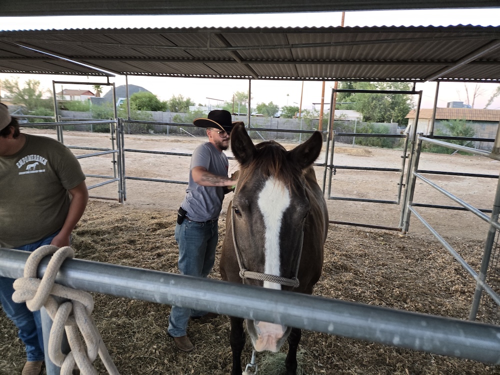 524097645 1157570253072738 8867969039852943117 n